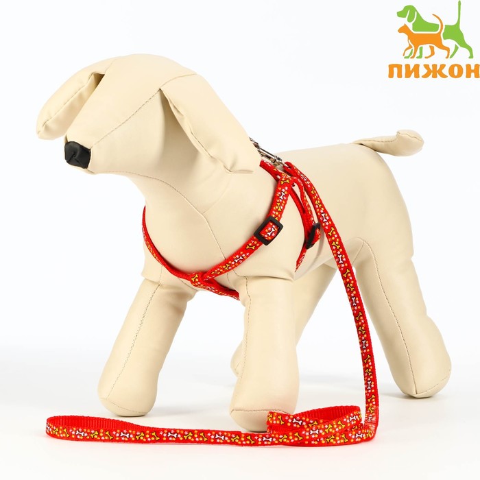 Комплект "Звёздные косточки", ширина 1 см, красный