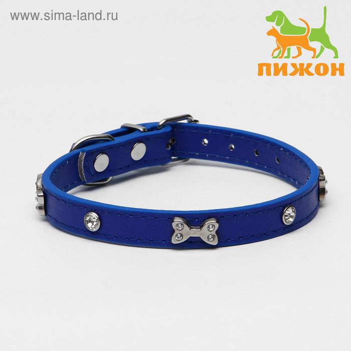 Ошейник "Косточки и стразы", 38 х 1,5 см, синий