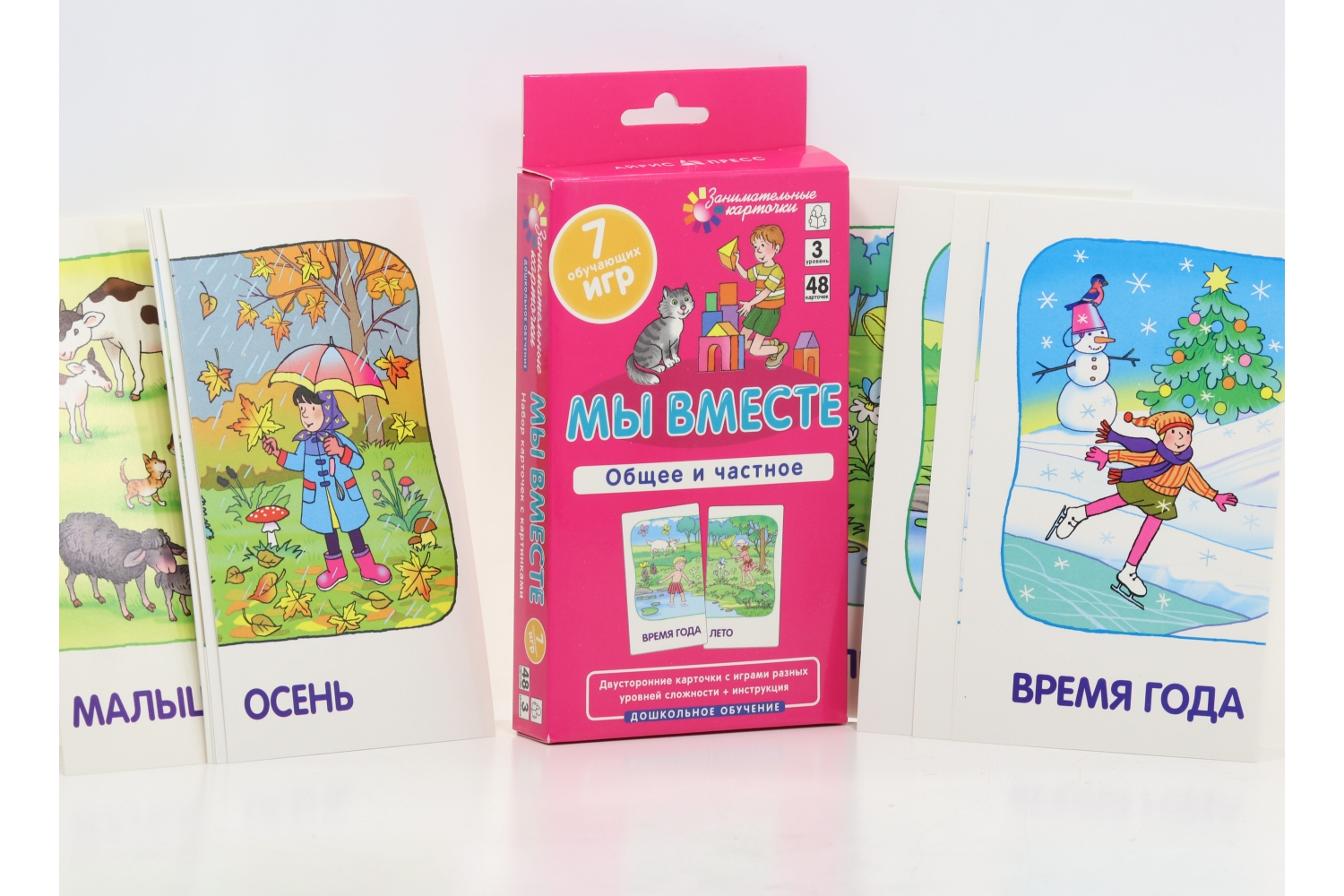 Настольная игра Айрис-Пресс мы вместе общее и частное 3-й уровень/7 игр/48 карточек