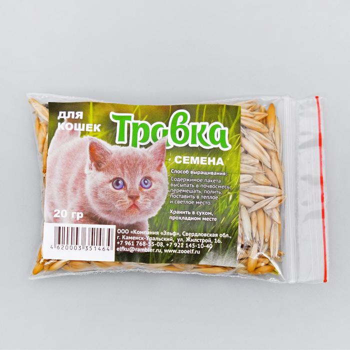 Семена Травка д/проращивания 20 г